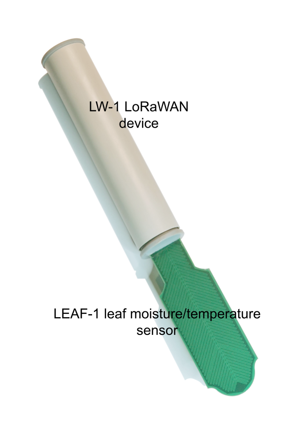 LEAF-1 Leaf moisture-temperature sensor